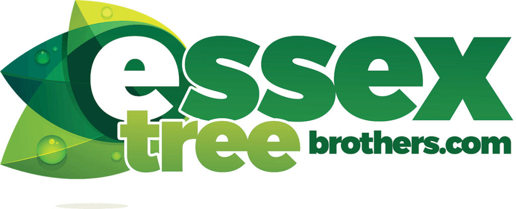 Essex Tree Services