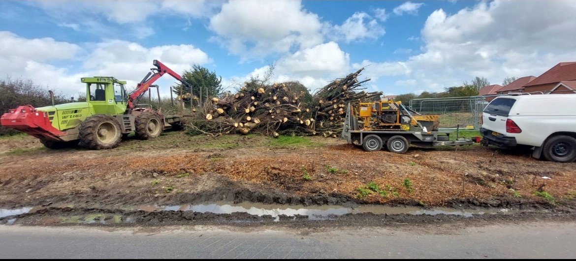 Essex Tree Brothers - Commercial Tree Surgery 2