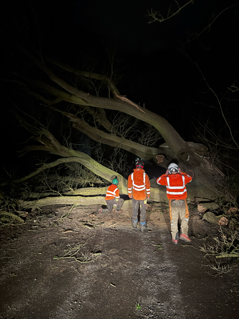 emergency call out in the dark