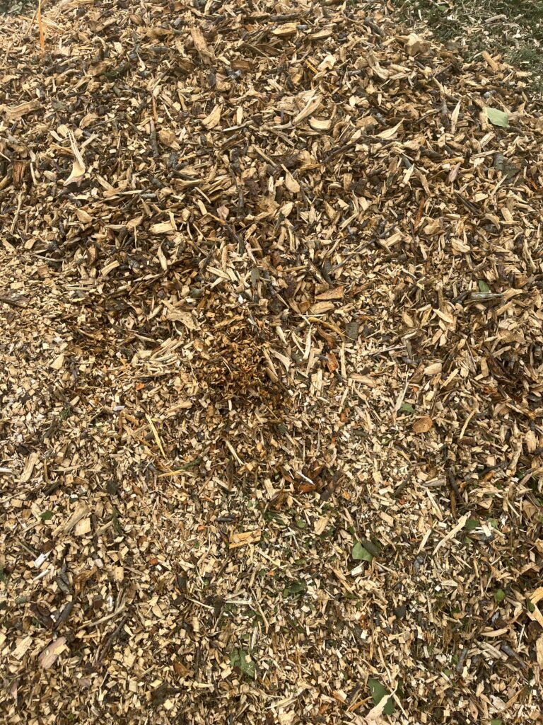 quality woodchip produced from tree surgery and tree maintenance work in essex