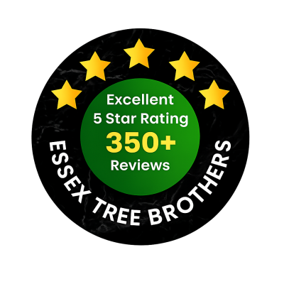 350+ 5-Star Google Reviews