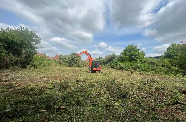 Essex Tree Brothers - Site Clearance 2