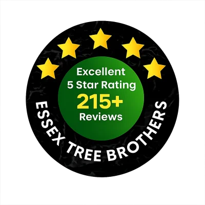 essex-tree-brothers-215-reviews