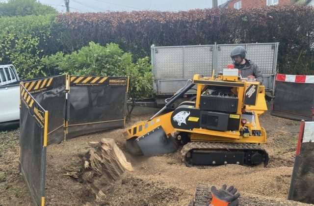 stump grinding
